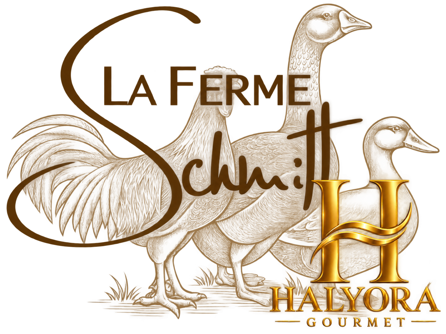 Halyora Gourmet - Les Produits de La Ferme Schmitt